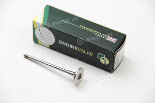 BGA V165031