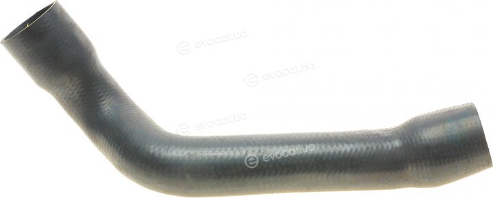 Solgy 114097