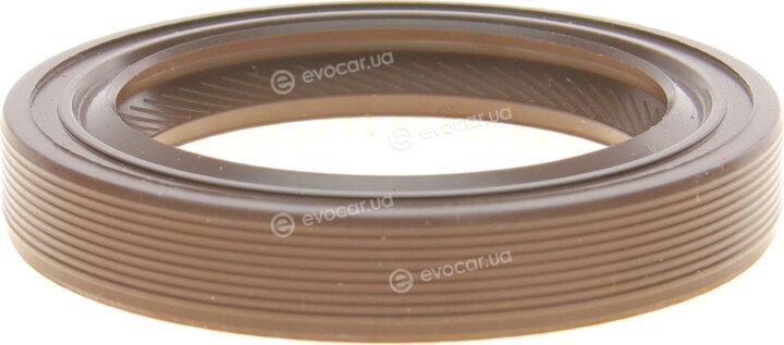 Elring 505.838