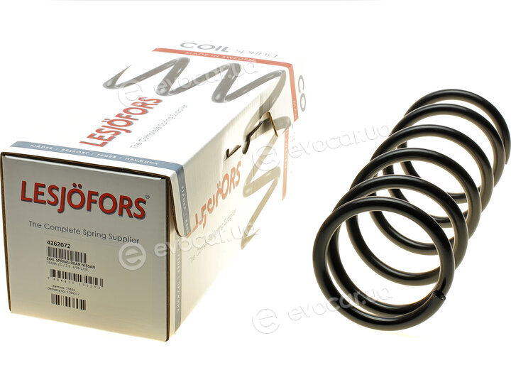 Lesjofors 4262072
