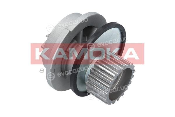 Kamoka T0106