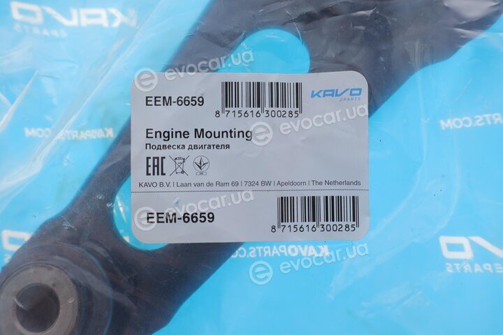 Kavo EEM-6659