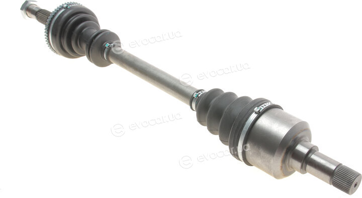 Magneti Marelli 302004190035