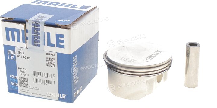 Mahle 012 02 01