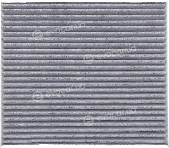 Solgy 104096