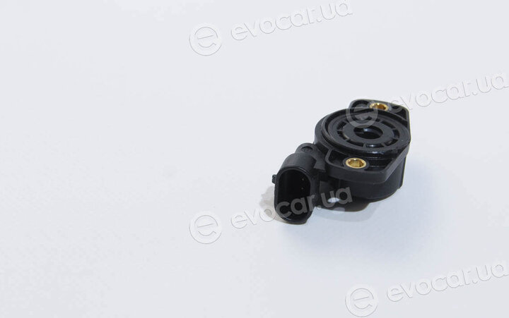Facet 10.5096