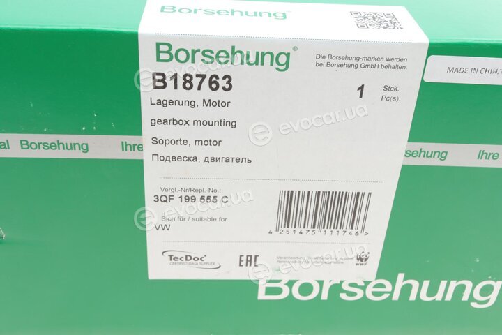 Borsehung B18763