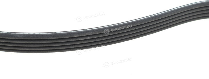 Dayco 5PK1572