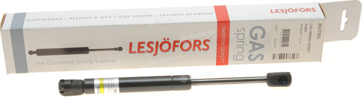 Lesjofors 8027501