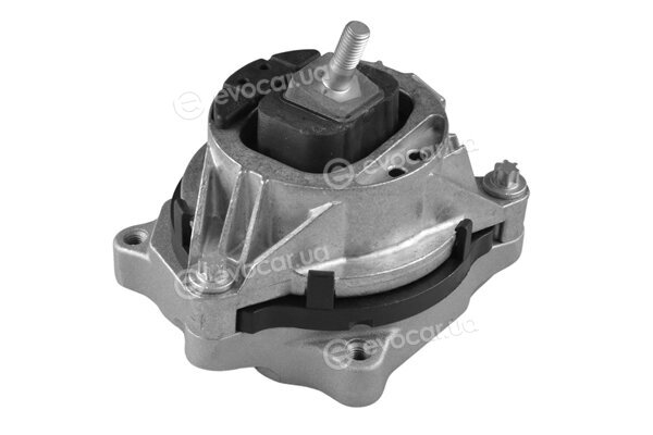 Tedgum TED99405
