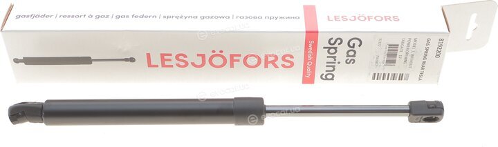 Lesjofors 8192200