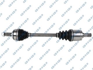 GSP 203838
