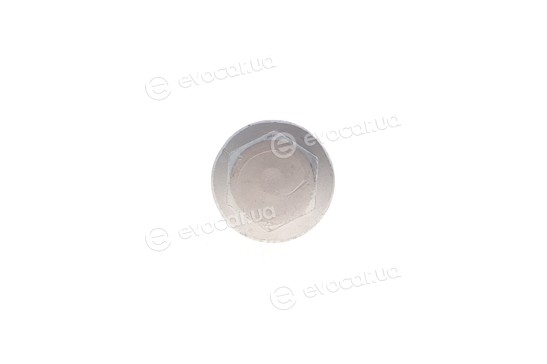 Solgy 204237