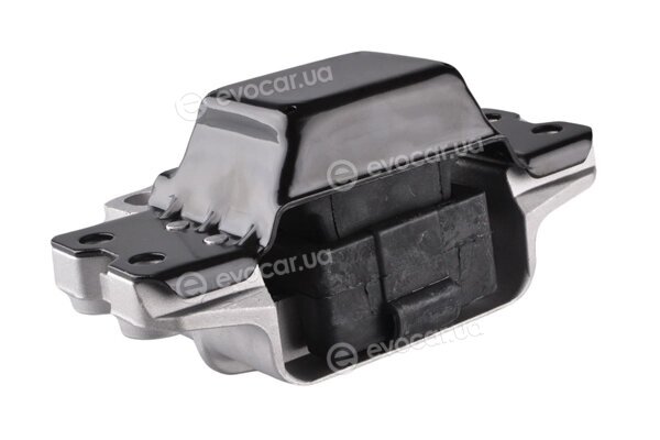 Tedgum TED98674