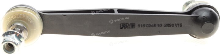 FAG 818 0245 10