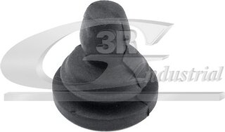 3RG 81652