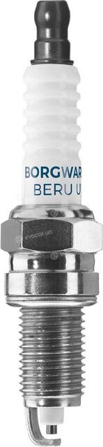 BorgWarner Z293