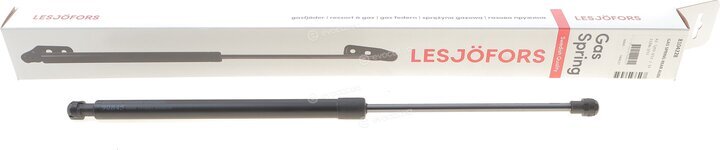 Lesjofors 8104228