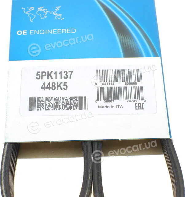 Dayco 5PK1137