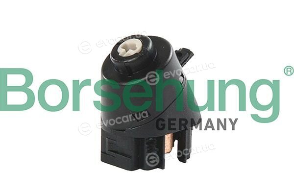 Borsehung B13218