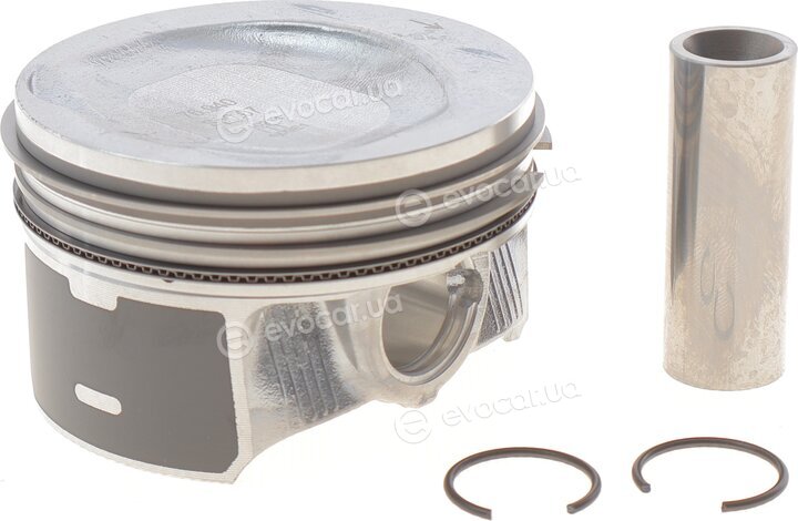 Mahle 028 PI 00118 002