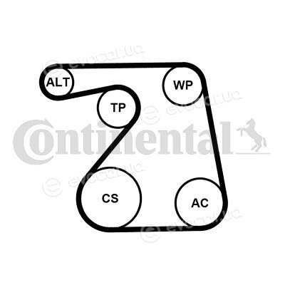 Continental 6PK1360K1