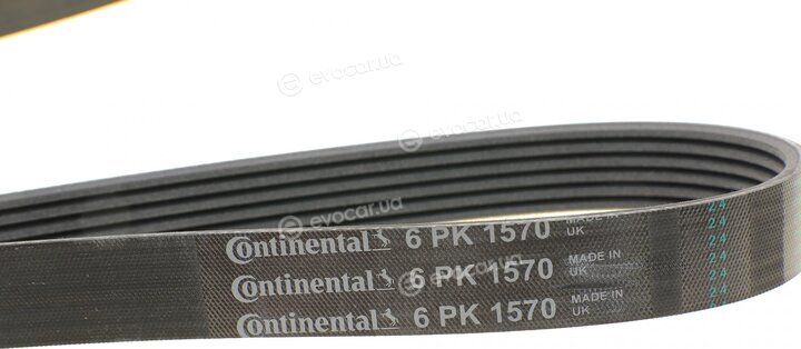 Continental 6PK1570