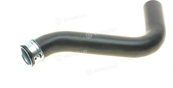 Solgy 114250