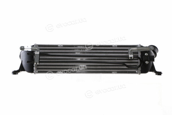 Mahle CI 392 000S