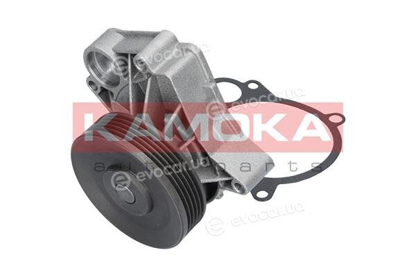 Kamoka T0061