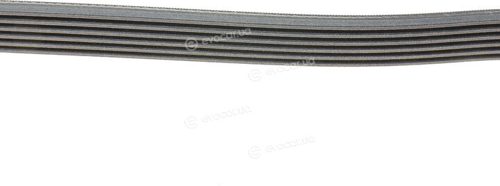 Continental 6PK2020