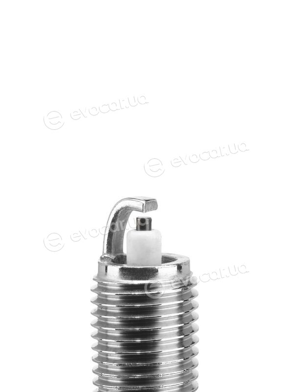 BorgWarner Z293