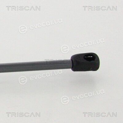 Triscan 8710 43245