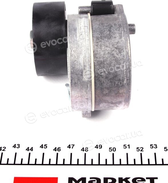 Hutchinson T0447