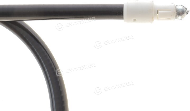 Rotweiss RW42012