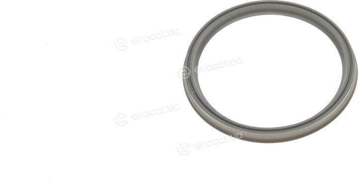 Elring 094.830