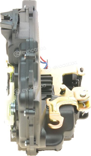 AIC 52974