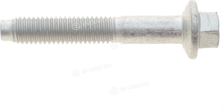 Rotweiss RWS3882