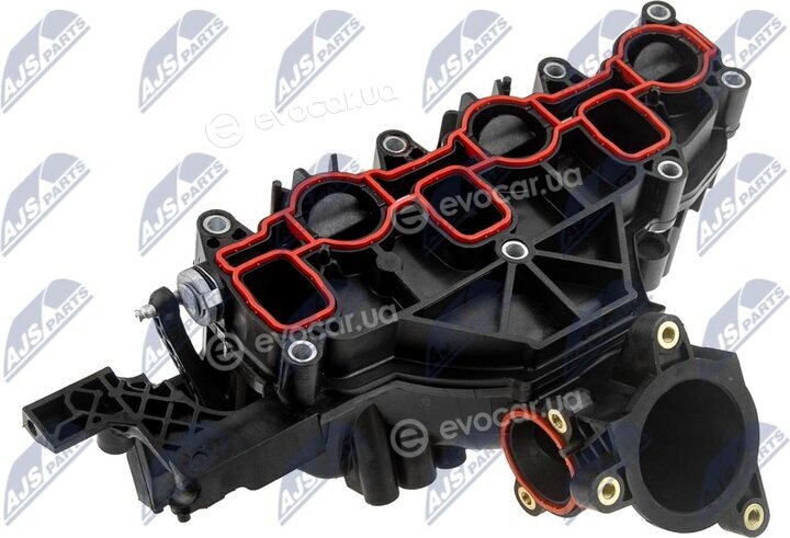 NTY BKS-VW-025