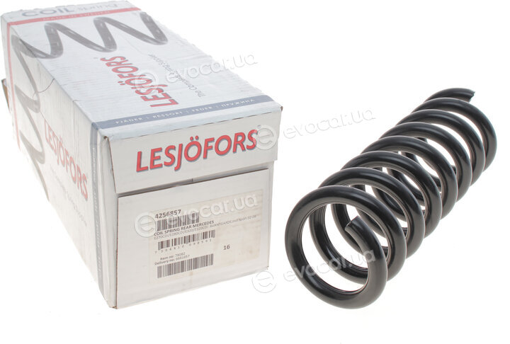 Lesjofors 4256857