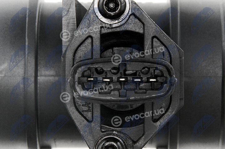 NTY EPP-PL-016