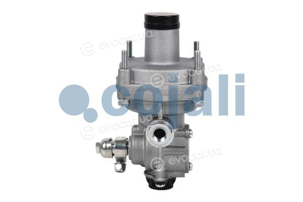 Cojali 2220339