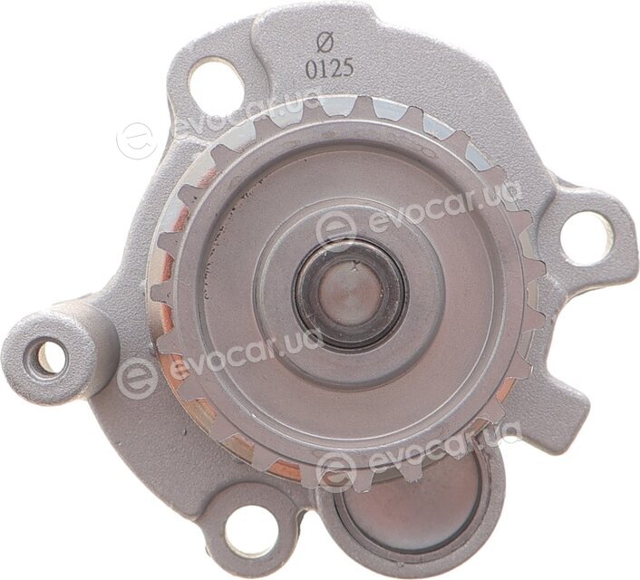 Motive TBK4988WP