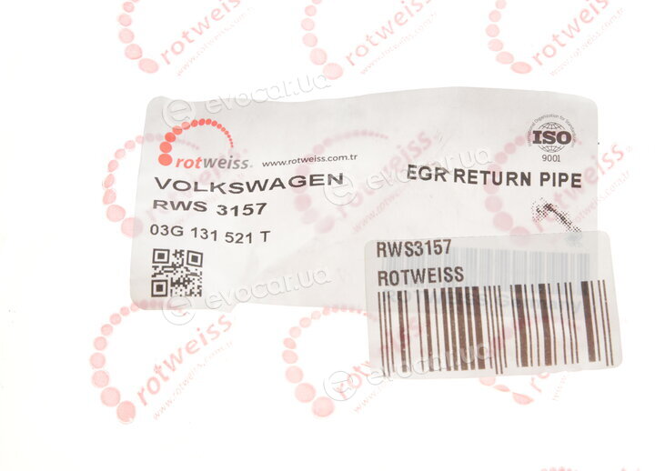 Rotweiss RWS3157