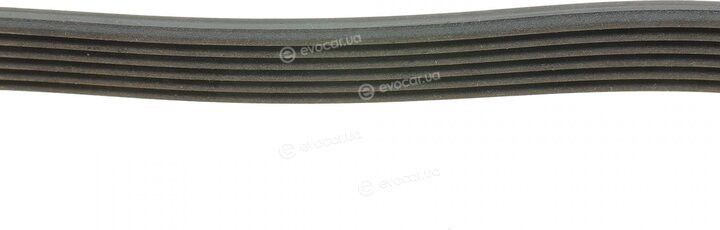 Continental 6PK831 ELAST T1