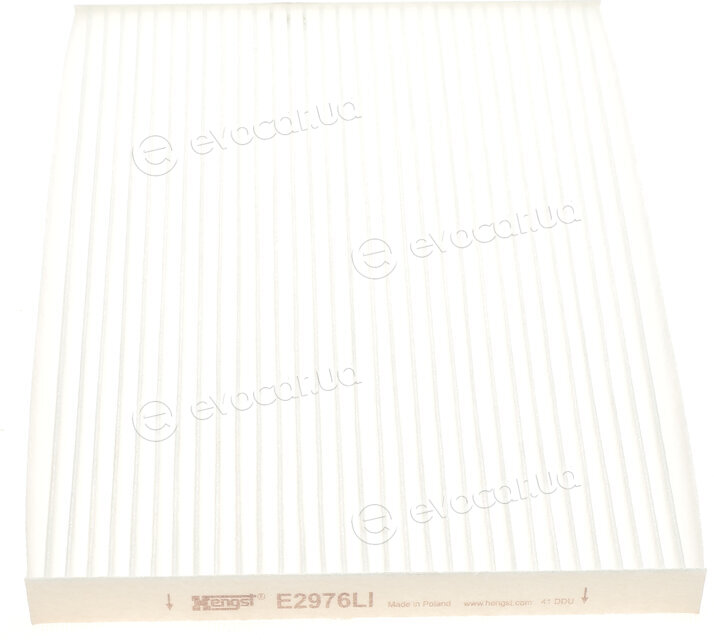 Hengst E2976LI