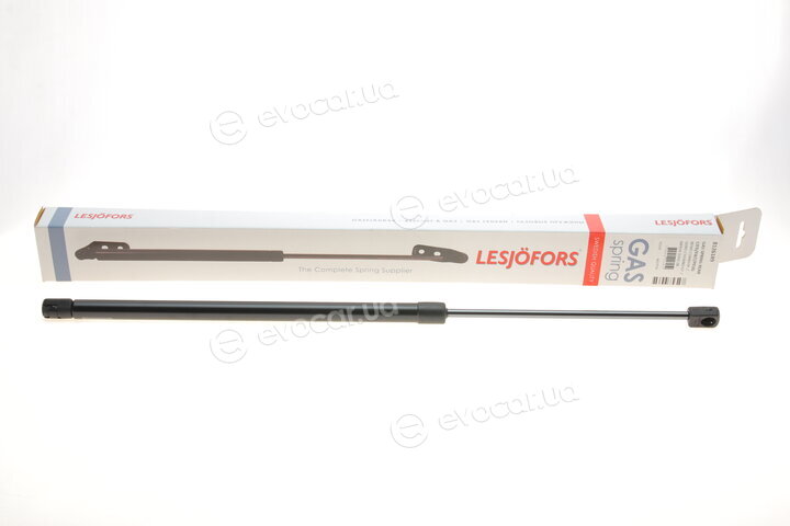 Lesjofors 8126149