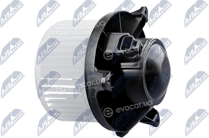 NTY EWN-NS-001