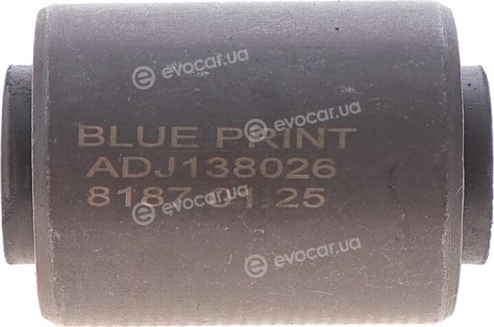 Blue Print ADJ138026