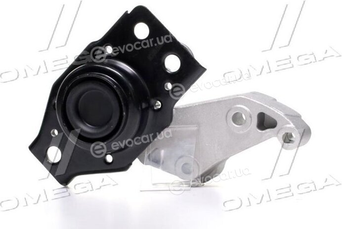 Sasic 2706034